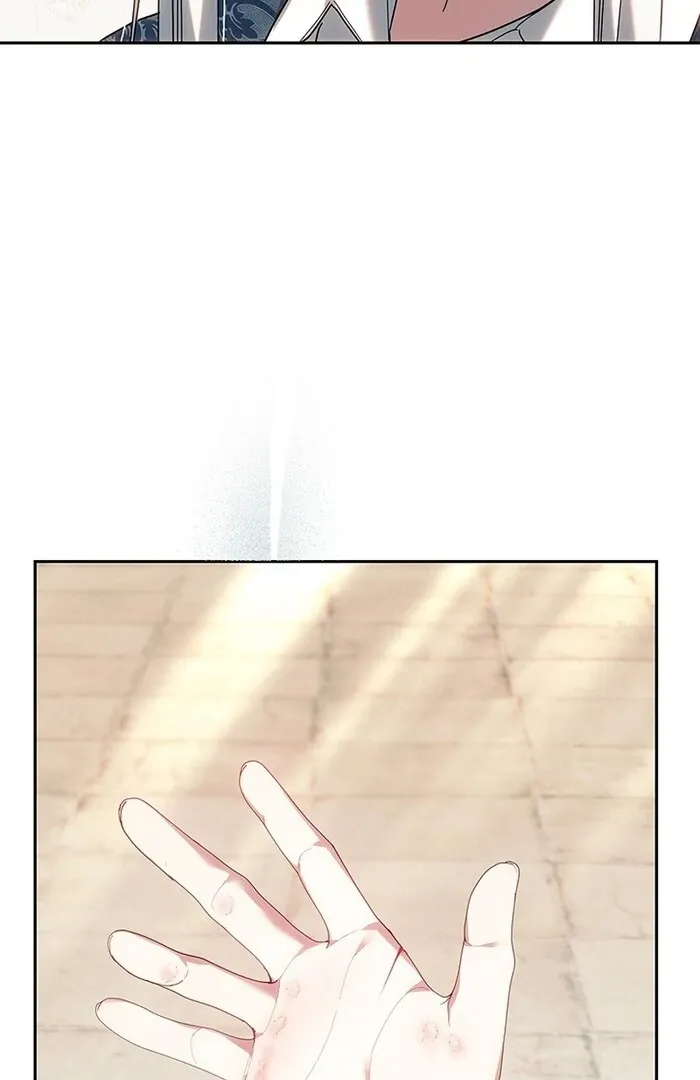 Read Mighty Macaron Wants To Be Meek Manga Online