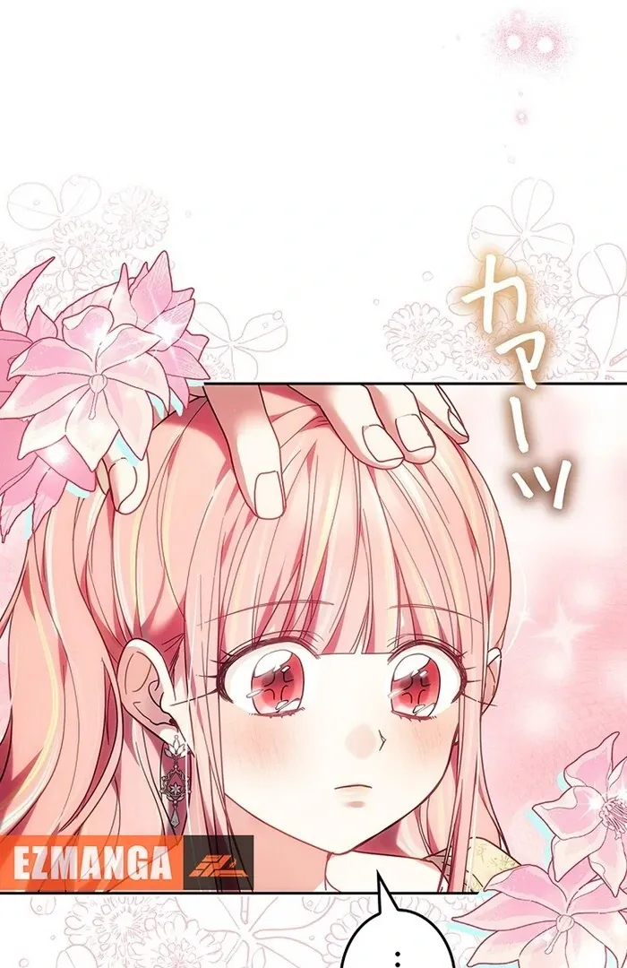 Read Mighty Macaron Wants To Be Meek Manga Online