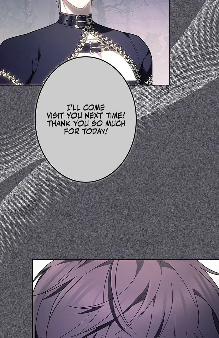 Read Mighty Macaron Wants To Be Meek Manga Online