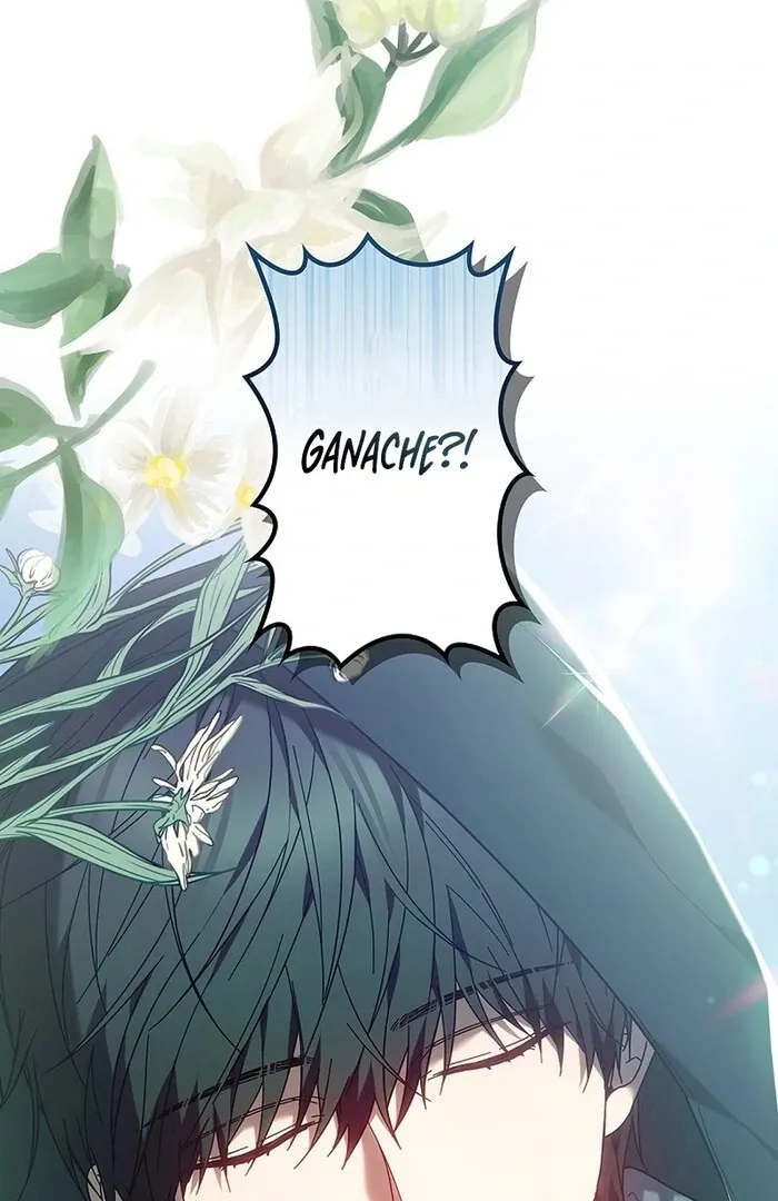 Read Mighty Macaron Wants To Be Meek Manga Online
