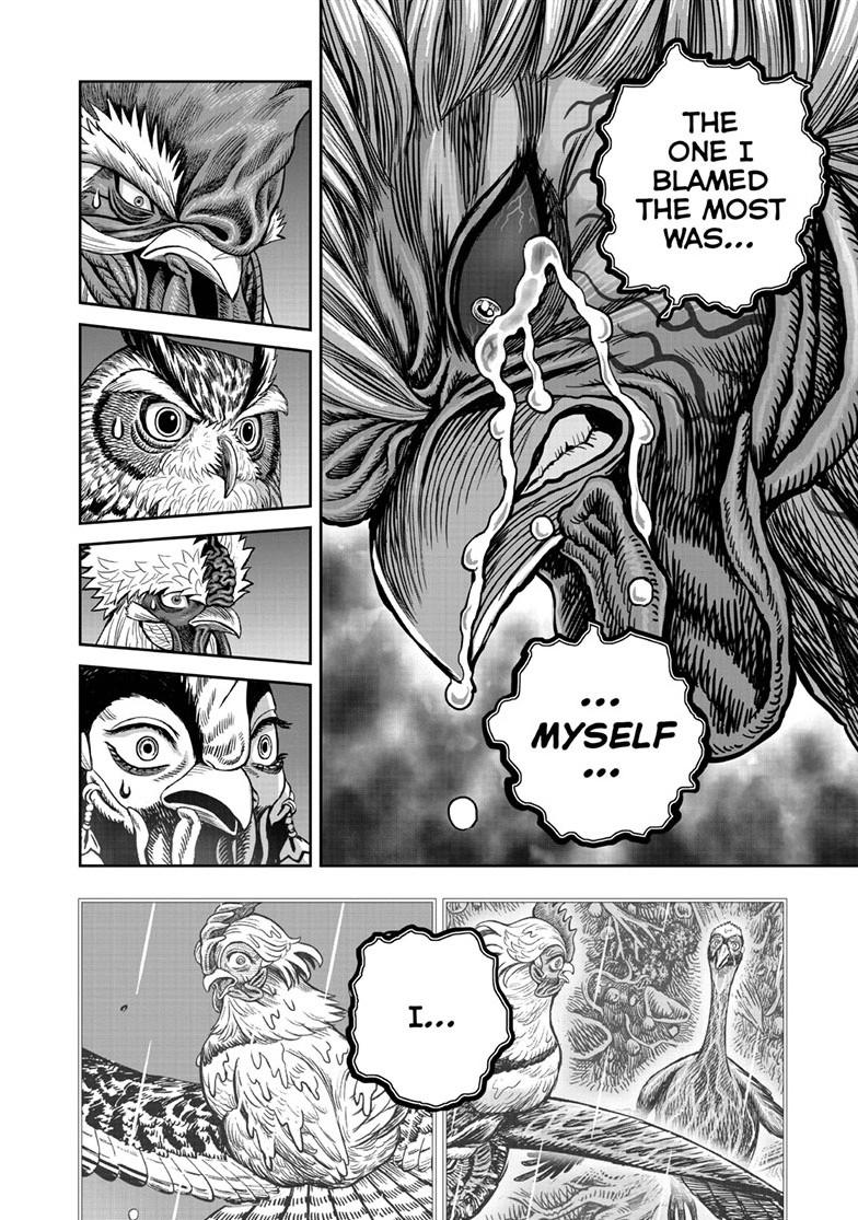 Read Rooster Fighter Manga Online