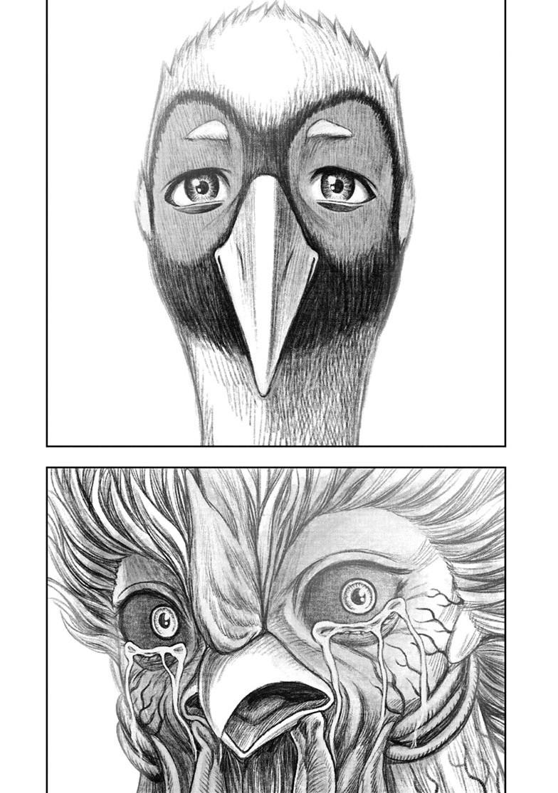 Read Rooster Fighter Manga Online