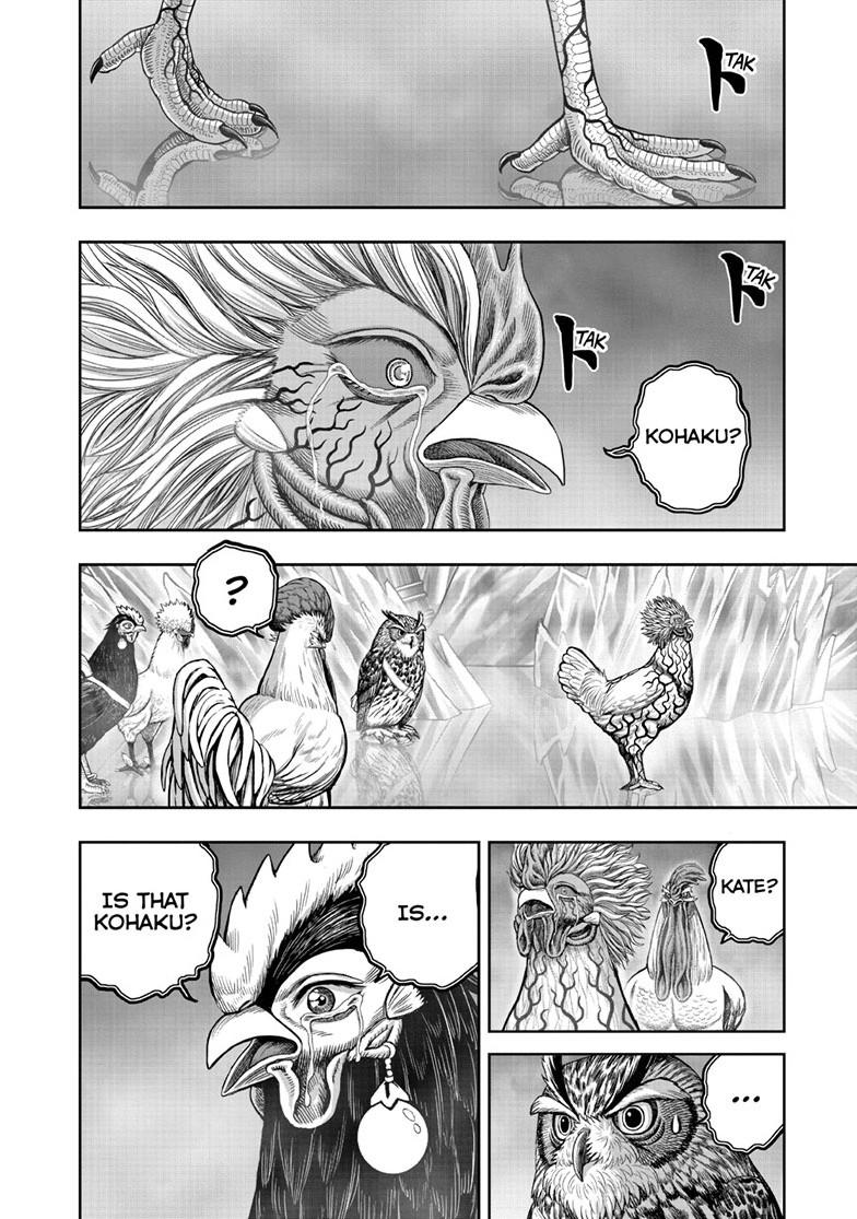 Read Rooster Fighter Manga Online