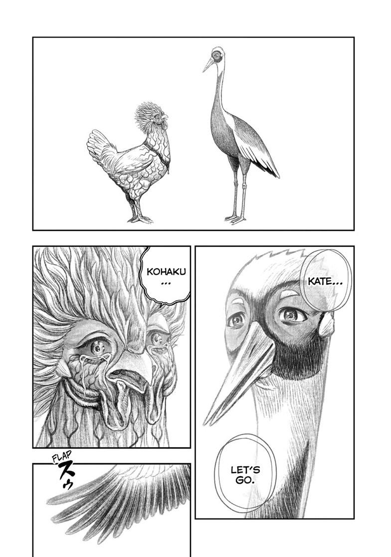 Read Rooster Fighter Manga Online