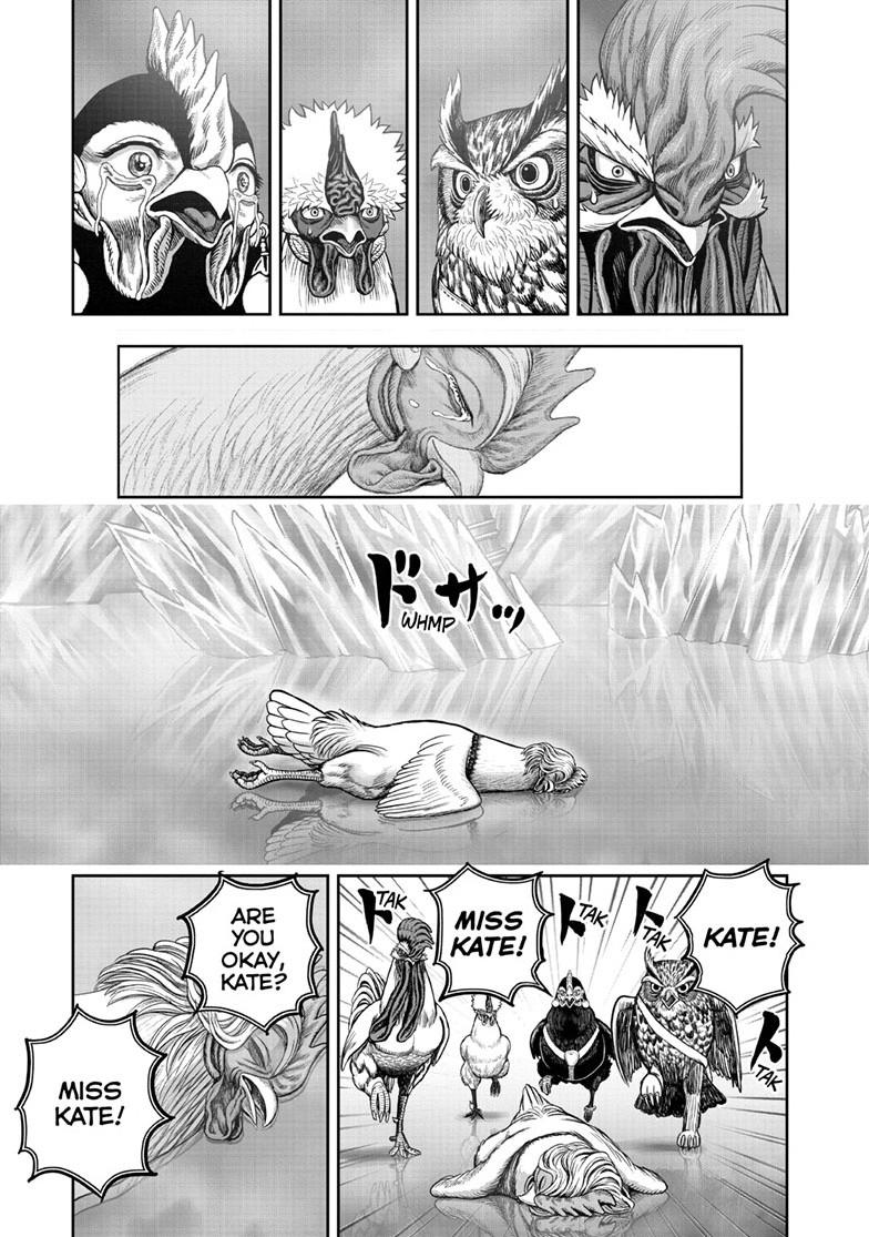 Read Rooster Fighter Manga Online