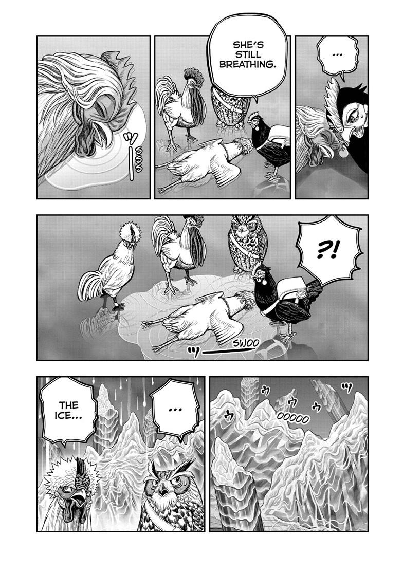 Read Rooster Fighter Manga Online