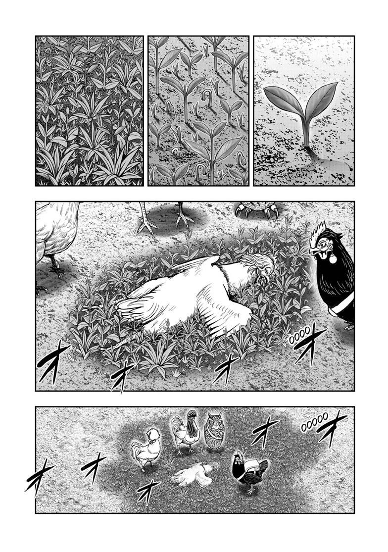 Read Rooster Fighter Manga Online