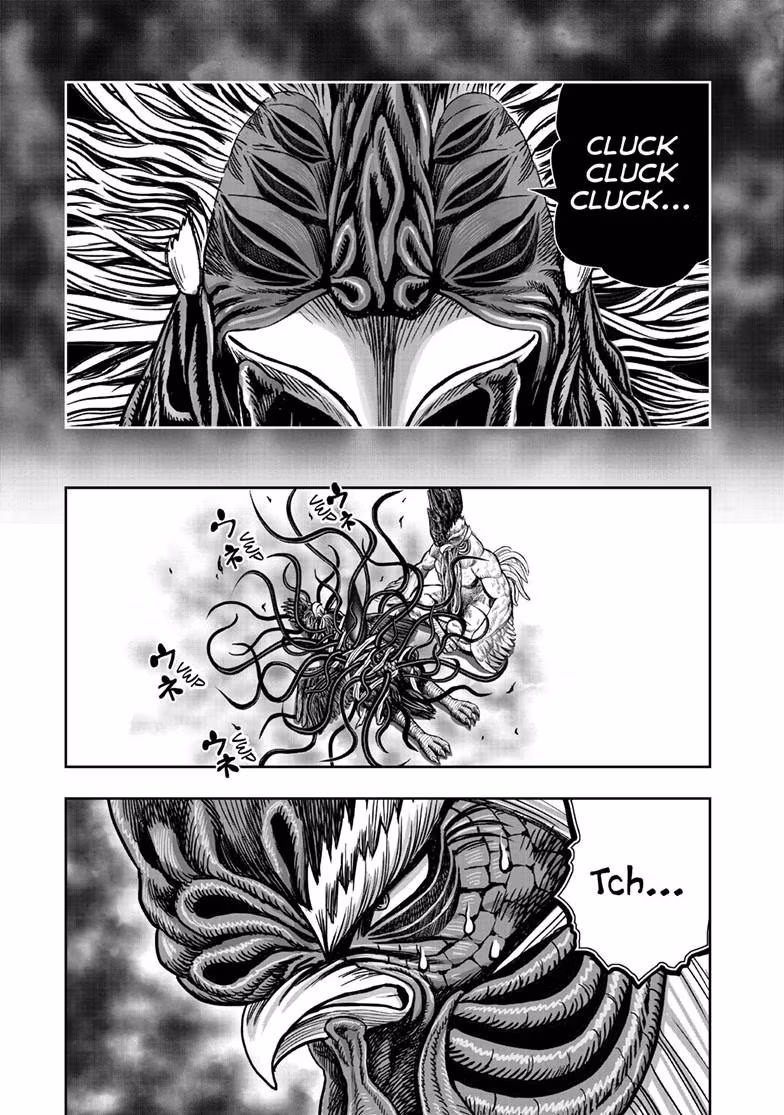 Read Rooster Fighter Manga Online