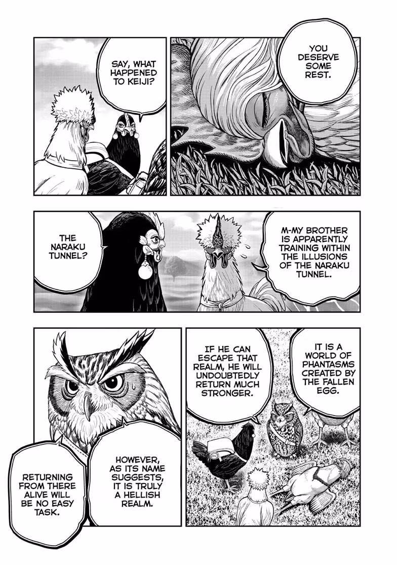 Read Rooster Fighter Manga Online