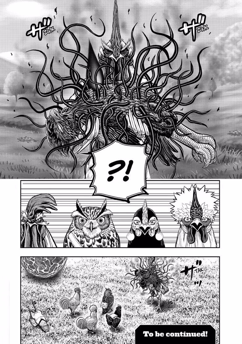 Read Rooster Fighter Manga Online