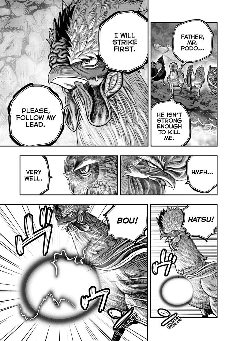 Read Rooster Fighter Manga Online