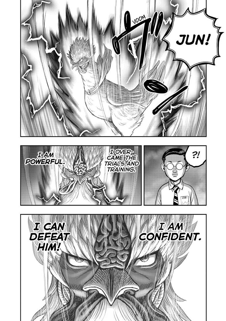 Read Rooster Fighter Manga Online
