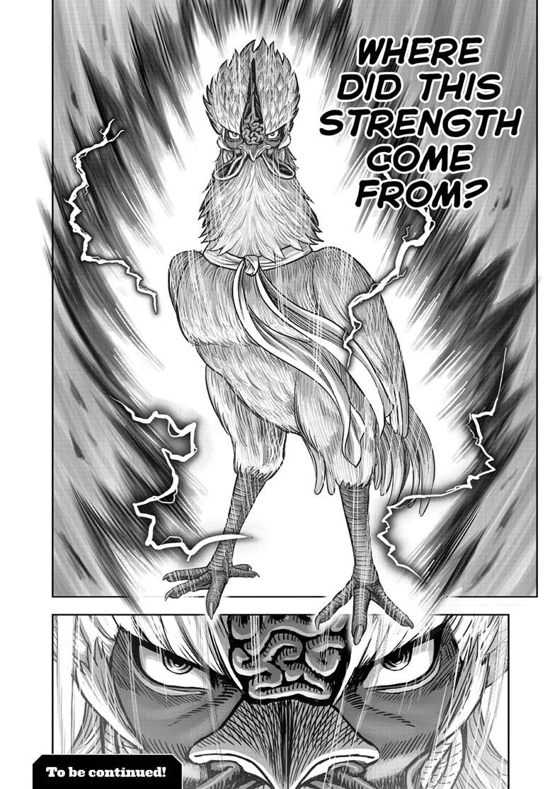 Read Rooster Fighter Manga Online