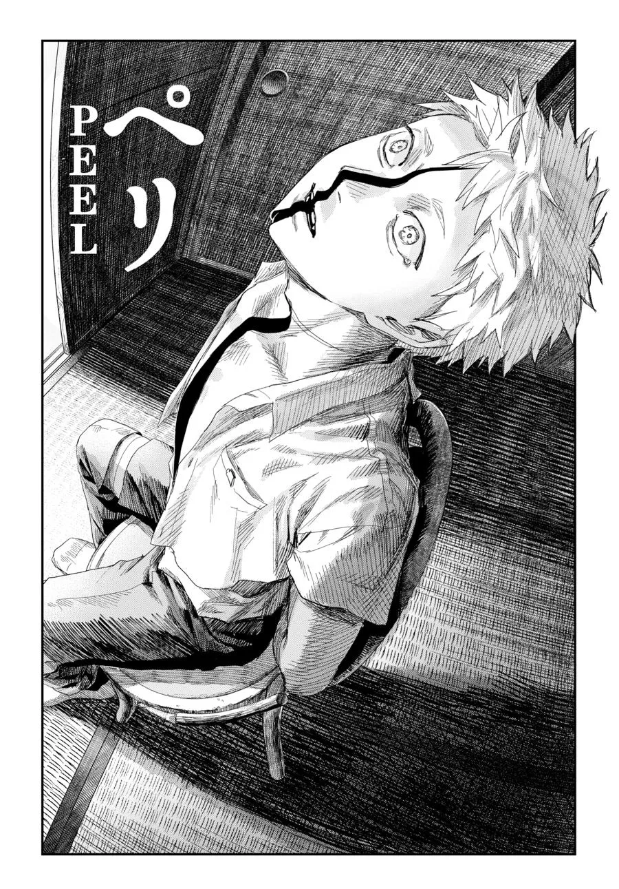 Read The Summer Hikaru Died Manga Online