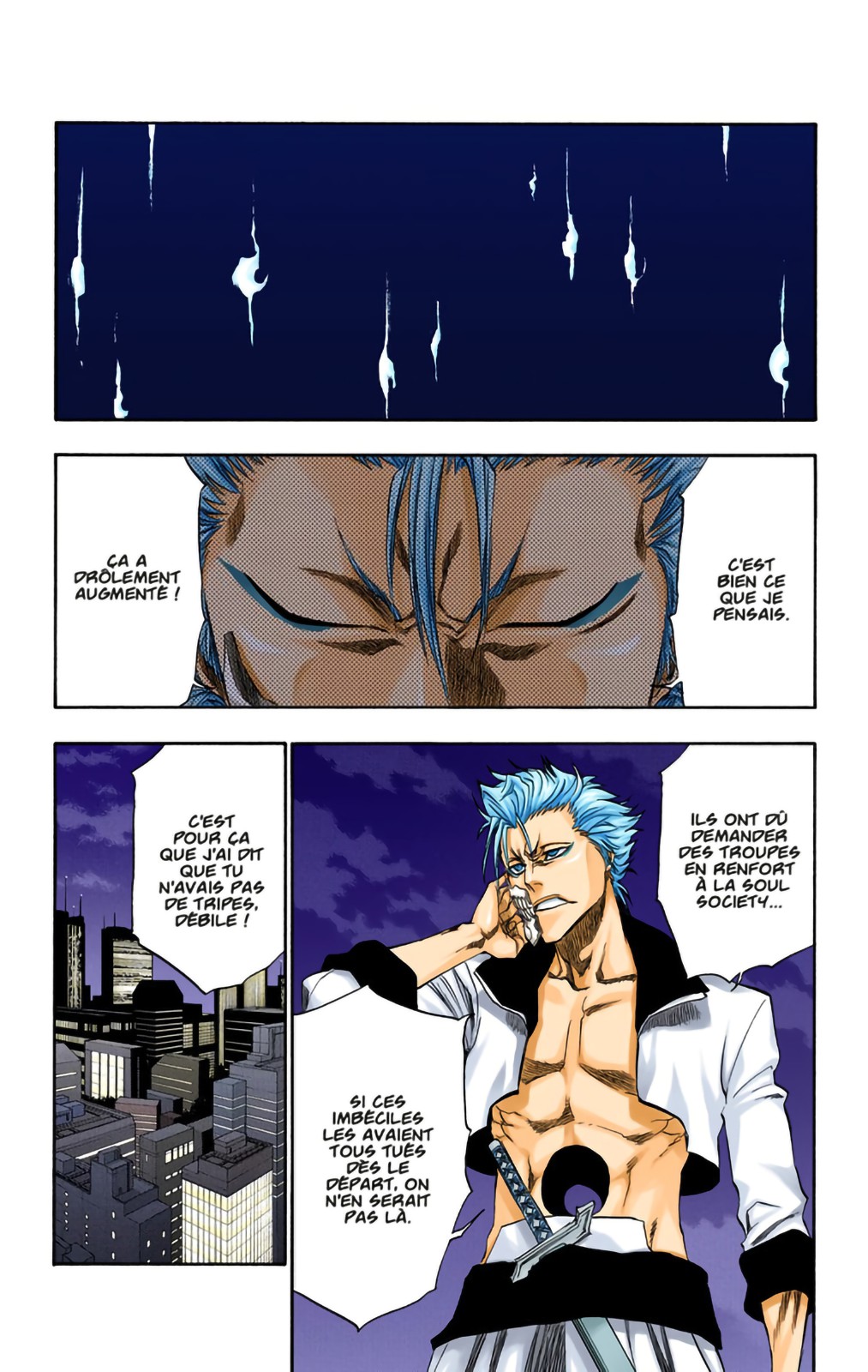 Read Bleach FR Manga Online
