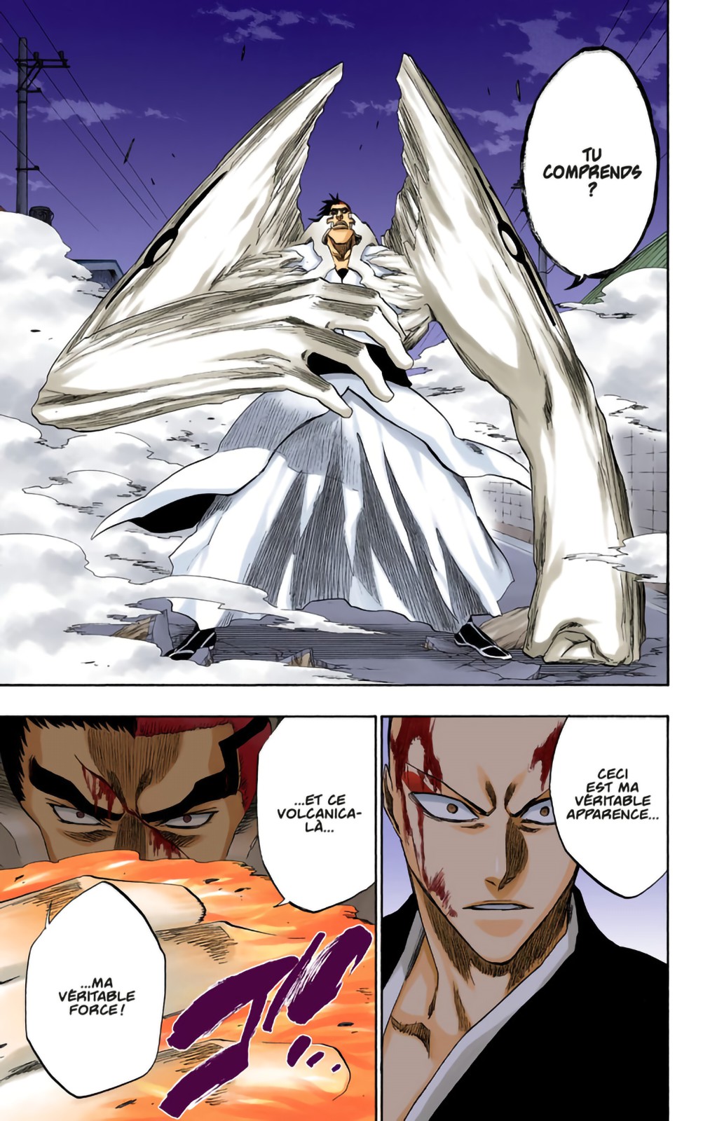 Read Bleach FR Manga Online