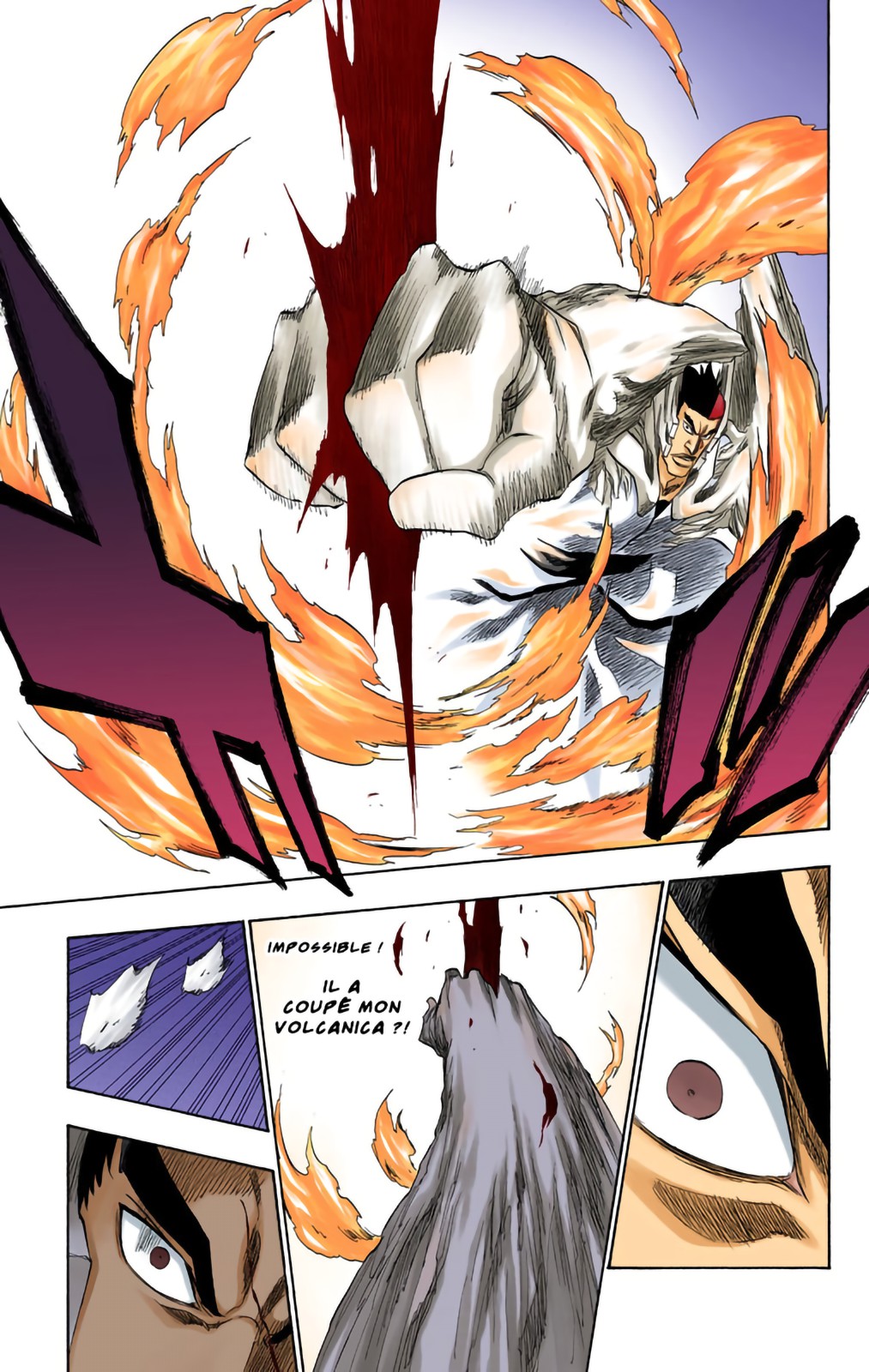 Read Bleach FR Manga Online