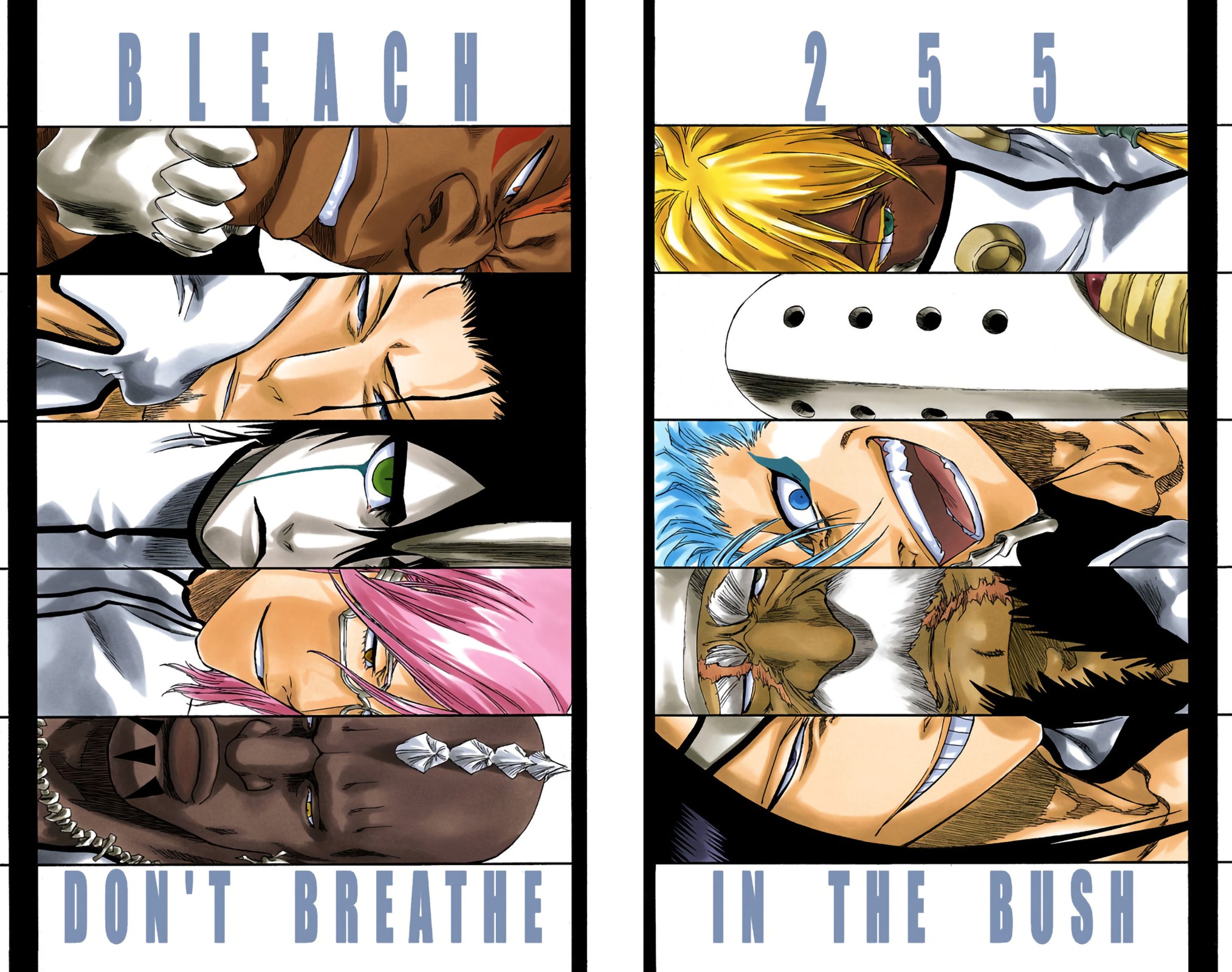 Read Bleach FR Manga Online