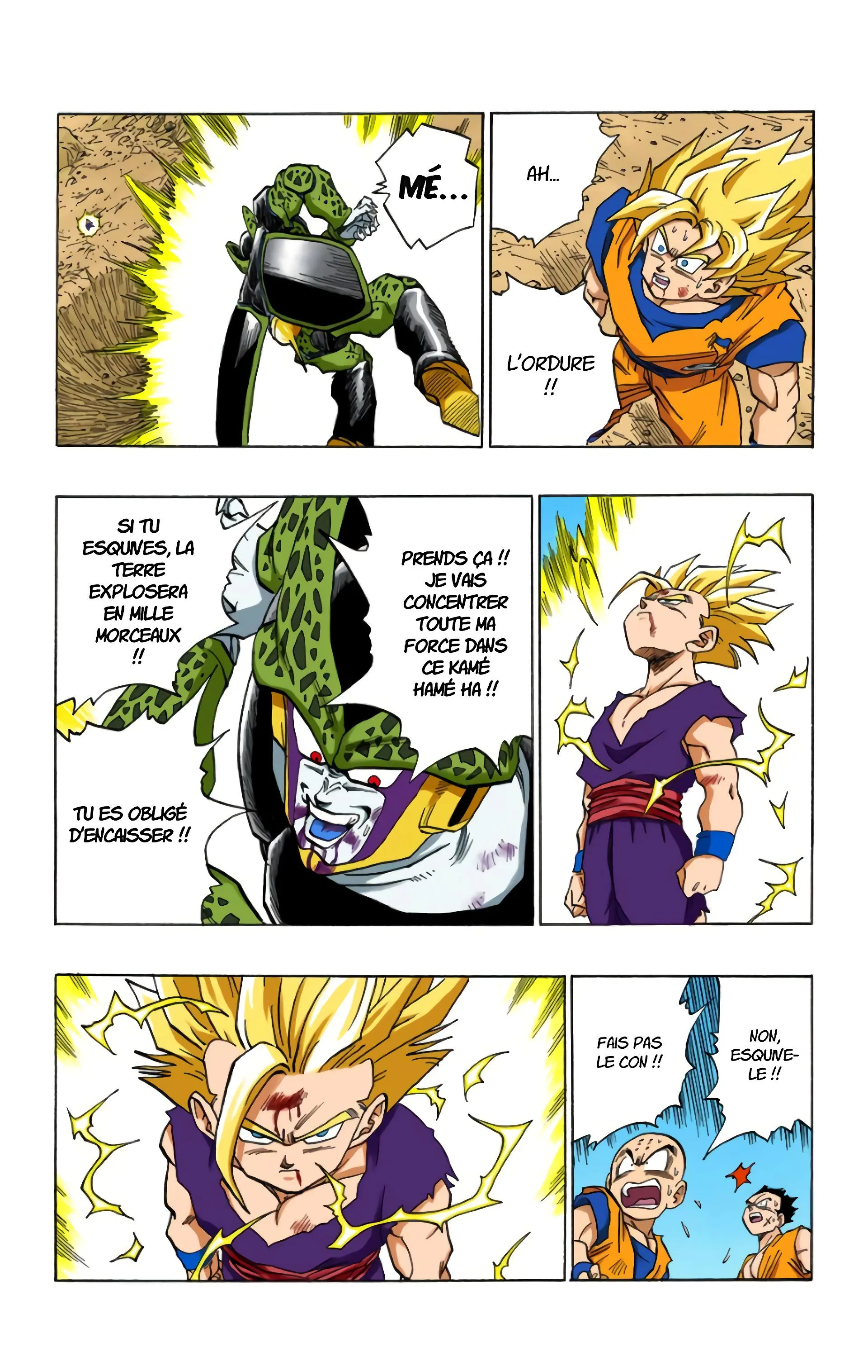 Read Dragon Ball FR Manga Online