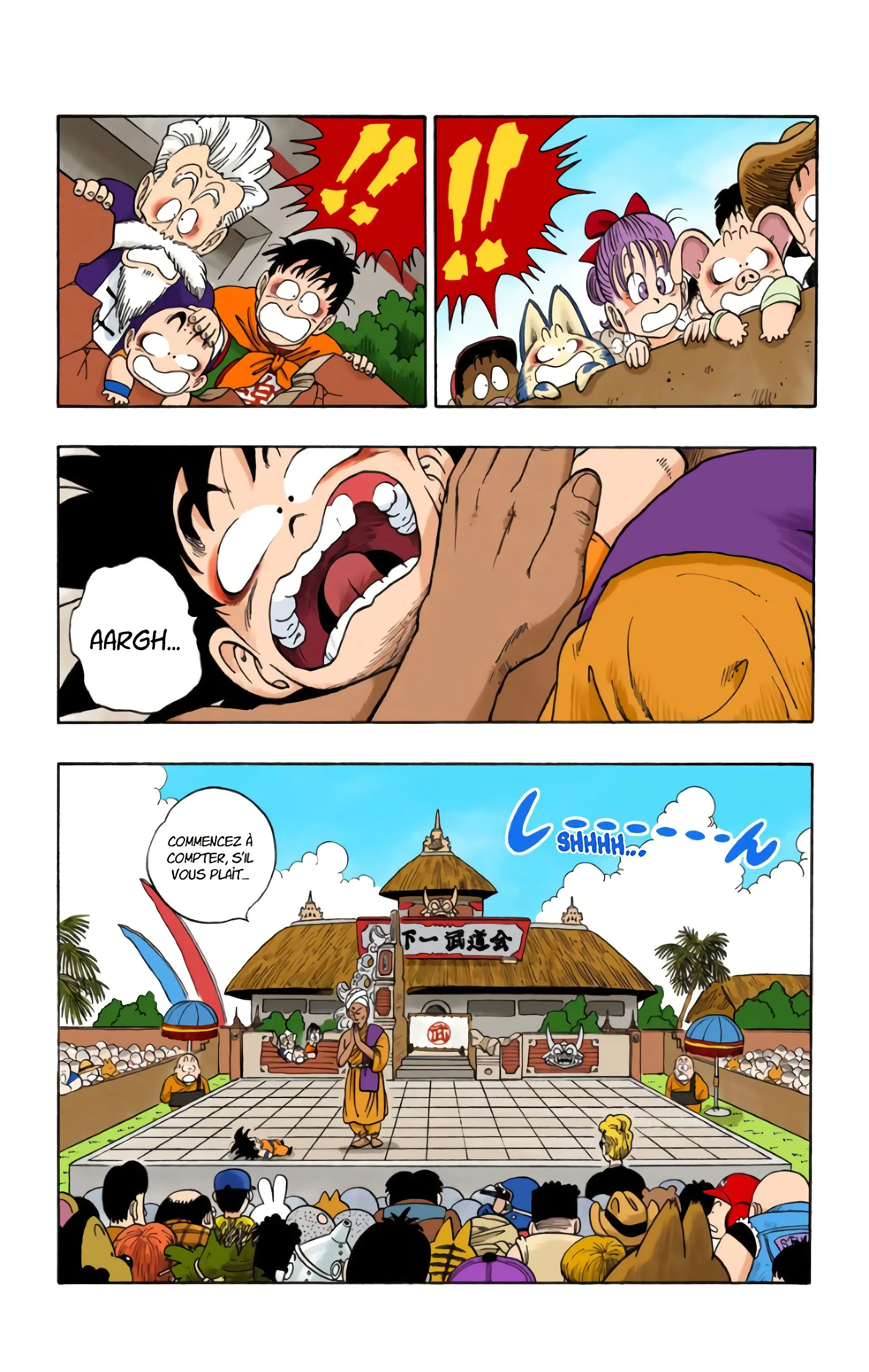 Read Dragon Ball FR Manga Online