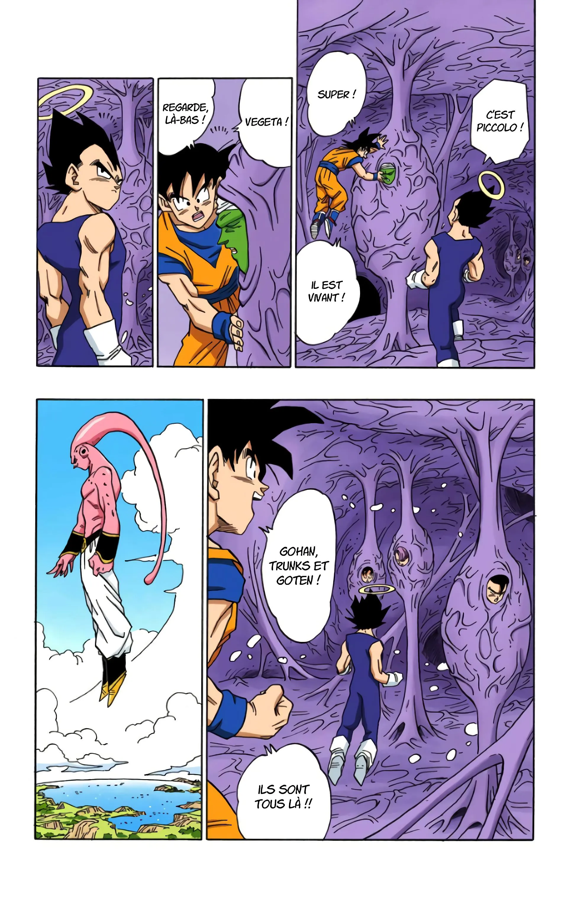 Read Dragon Ball FR Manga Online