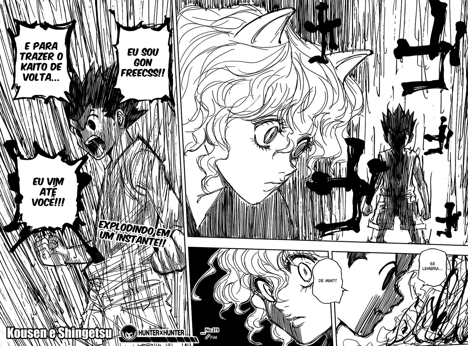 Read Hunter x Hunter PT-BR Manga Online