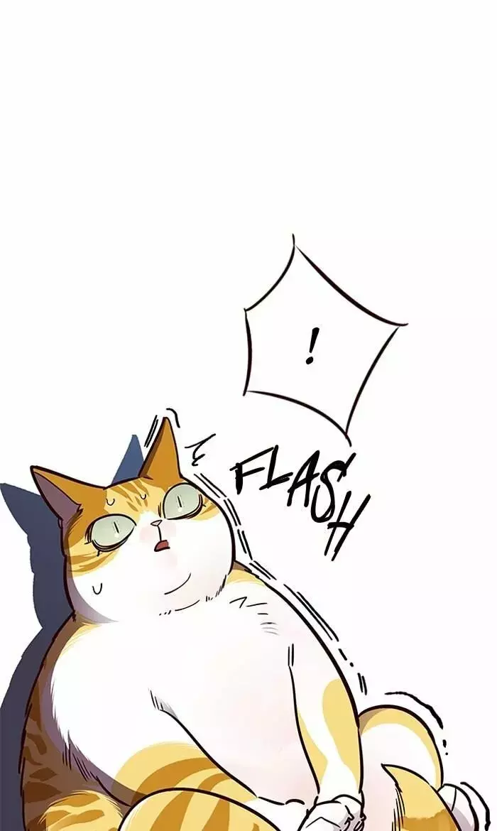 Read Lightning Degree ES Manga Online