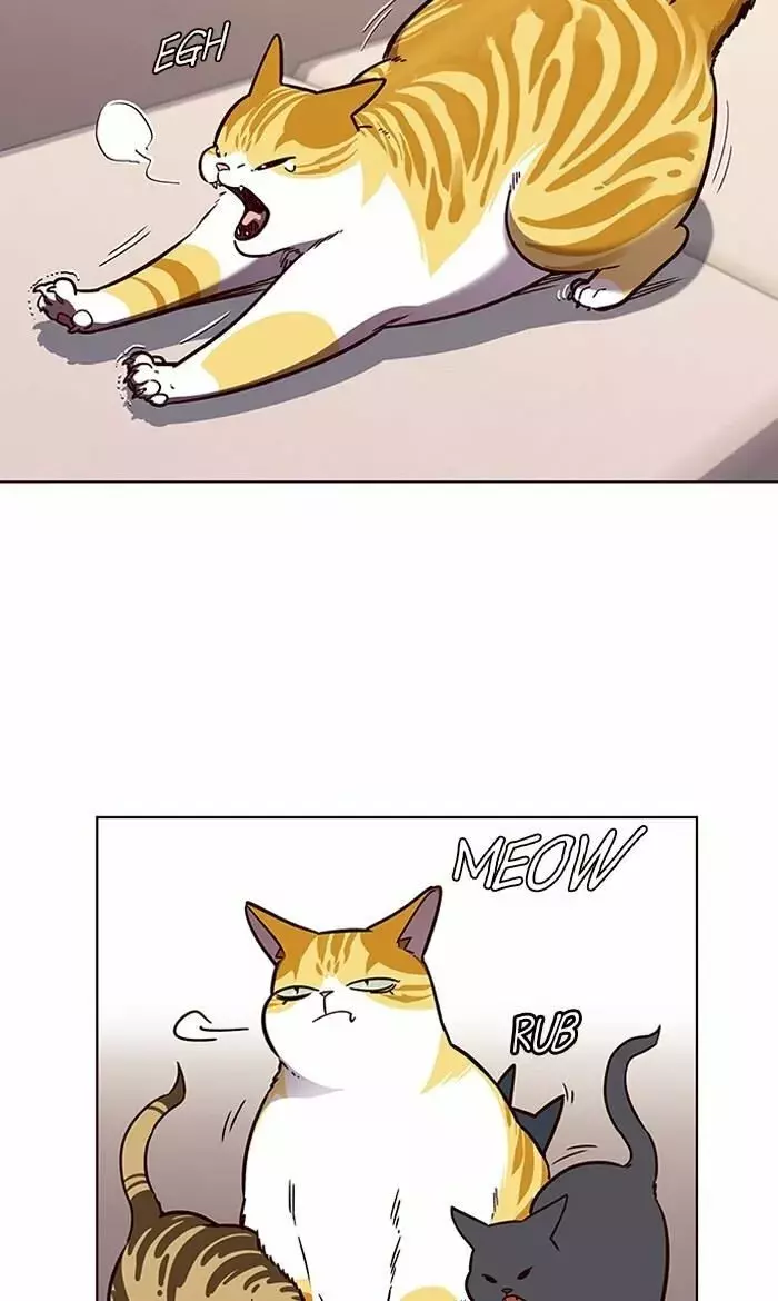 Read Lightning Degree ES Manga Online